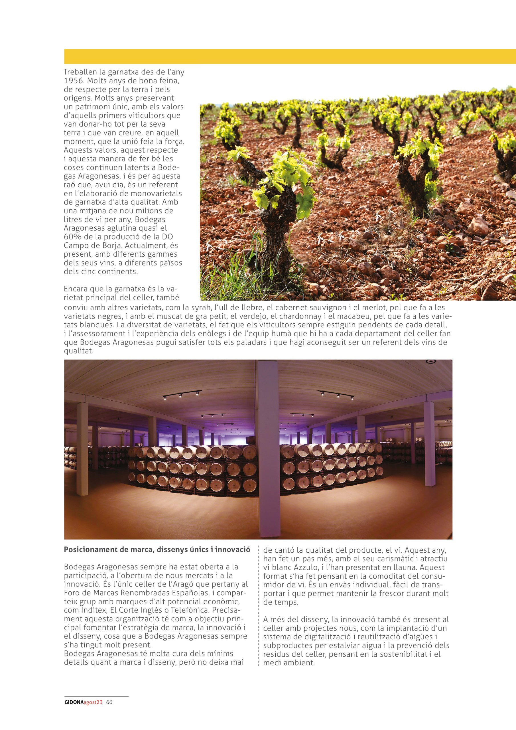 AGOST23 GIDONA66